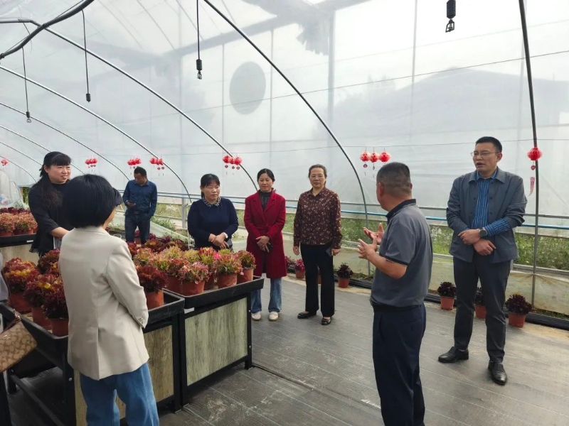 淮上区政协民族宗教和港澳台侨委员会开展2025年政协委员履职“万企兴万村”助力乡村振兴主题活动