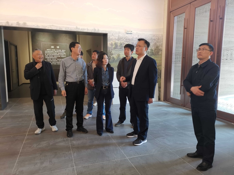 淮上区委副书记、区长史法勇调研推进双墩遗址公园工作