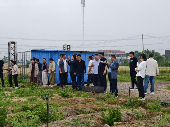 淮上区政协农业农村委开展“产业发展促乡村振兴”主题调研活动