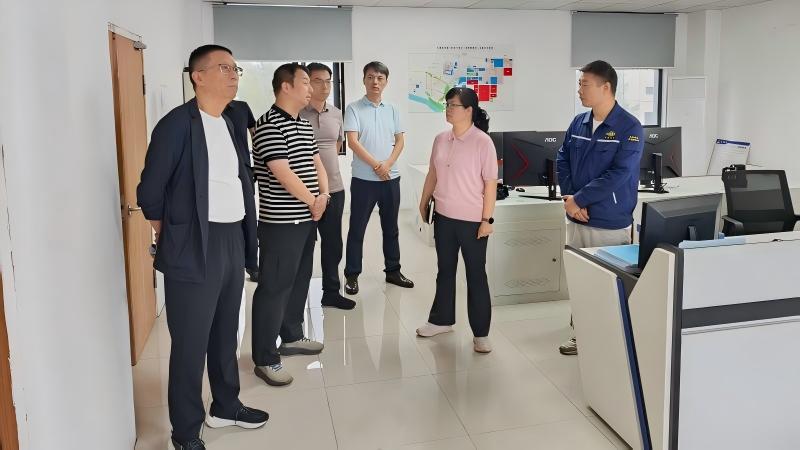 龙晓娣带队开展安全生产和环保督导工作